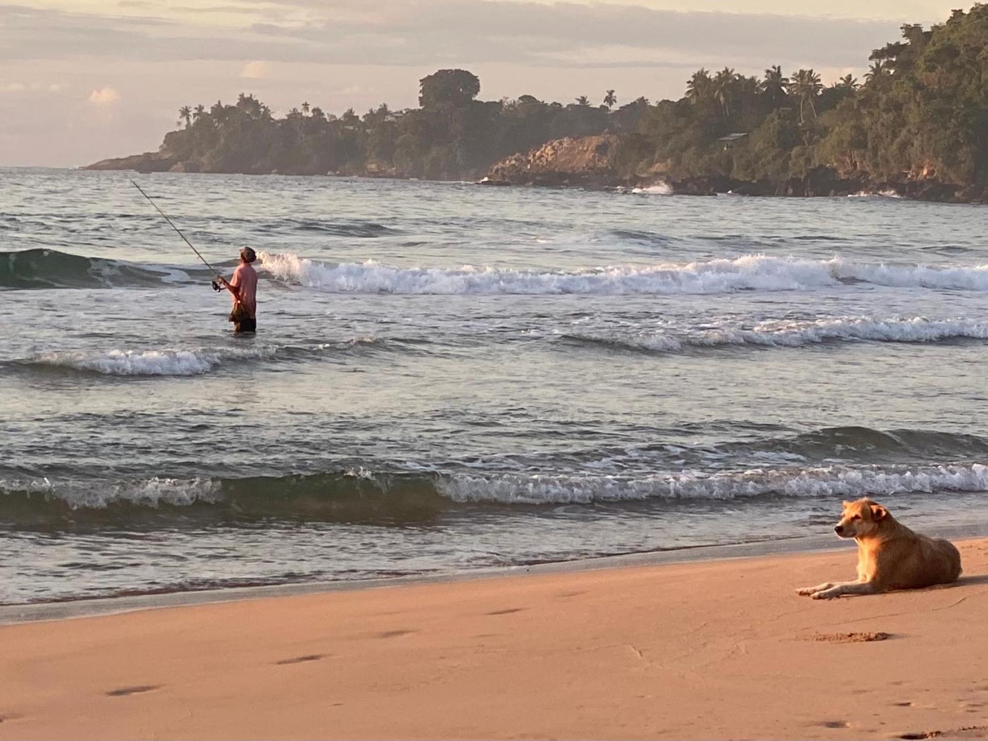 Talalla Bay Beach Hotel Ngoại thất bức ảnh